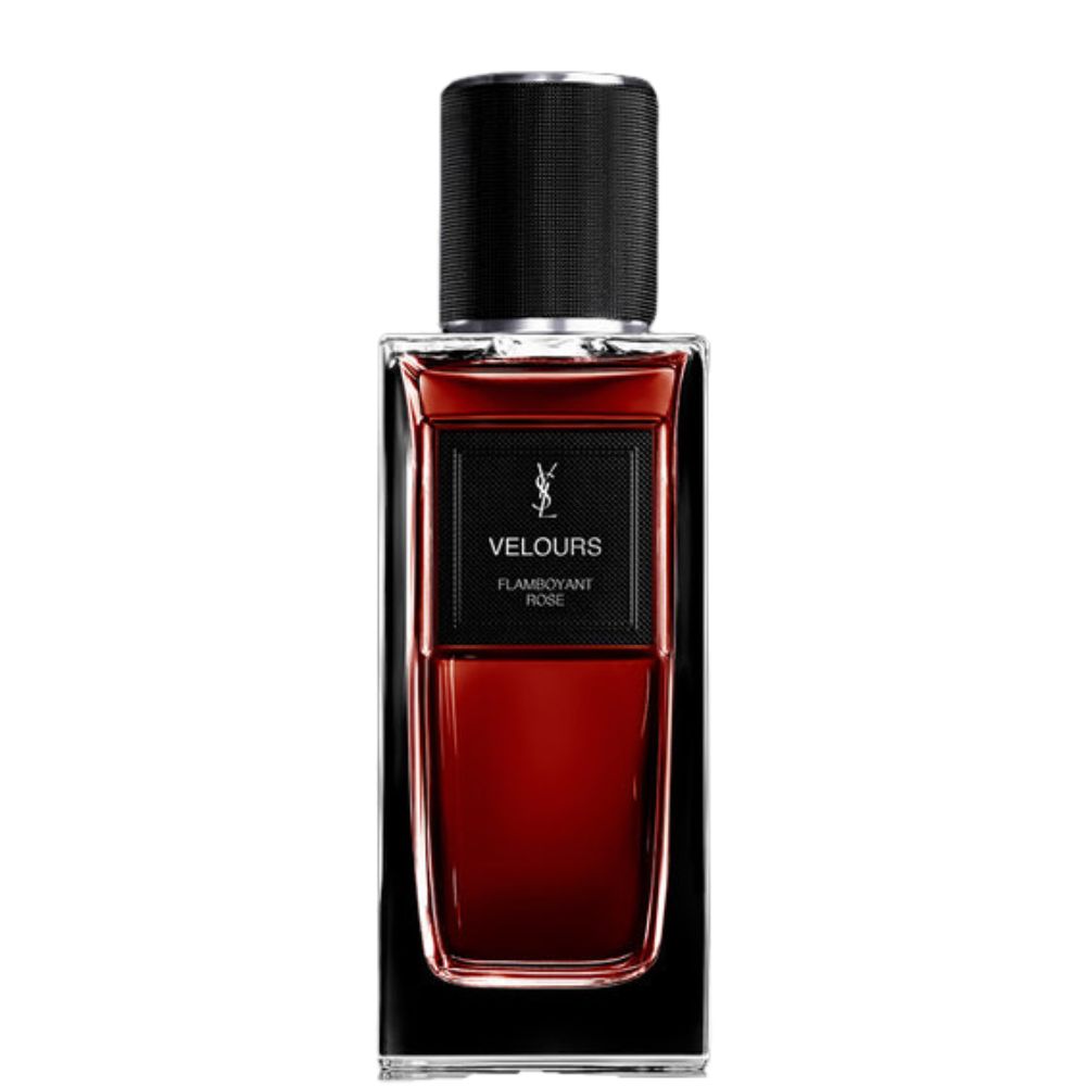 Review nước hoa Yves Saint Laurent VELOURS EDP 1 Review nước hoa Yves Saint Laurent VELOURS EDP _ Tiến Perfume