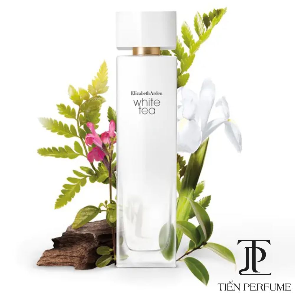 Elizabeth Arden White Tea EDT 100ml 29 Authentic perfume Elizabeth Arden White Tea EDT _ Tiến Perfume