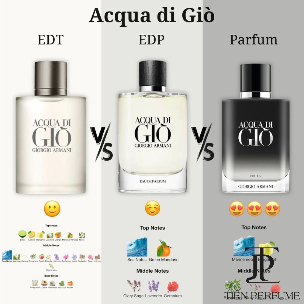 3 Versions of Acqua Di Gio EDT - EDP - Parfum _ Tiến Perfume