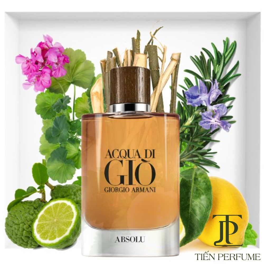 Giorgio Armani Acqua di Giò Absolu EDP _ Giò nâu chính hãng _ Tiến Perfume Giorgio Armani Acqua di Giò Absolu EDP _ Giò nâu chính hãng _ Tiến Perfume
