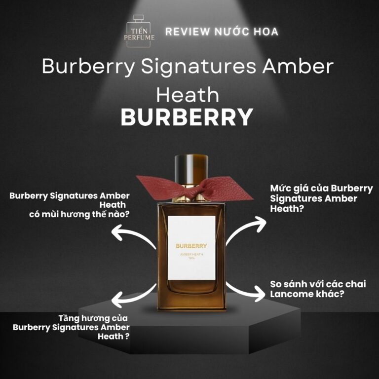 Review nước hoa Burberry Signatures Amber Heath _ Tiến Perfume