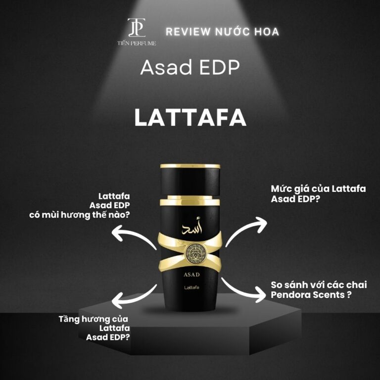 Review nước hoa Lattafa Asad EDP _ Tiến Perfume