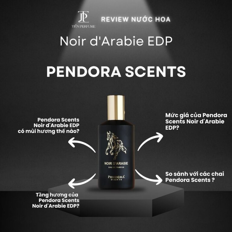 Review nước hoa Pendora Scents Noir d'Arabie EDP _ Tiến Perfume