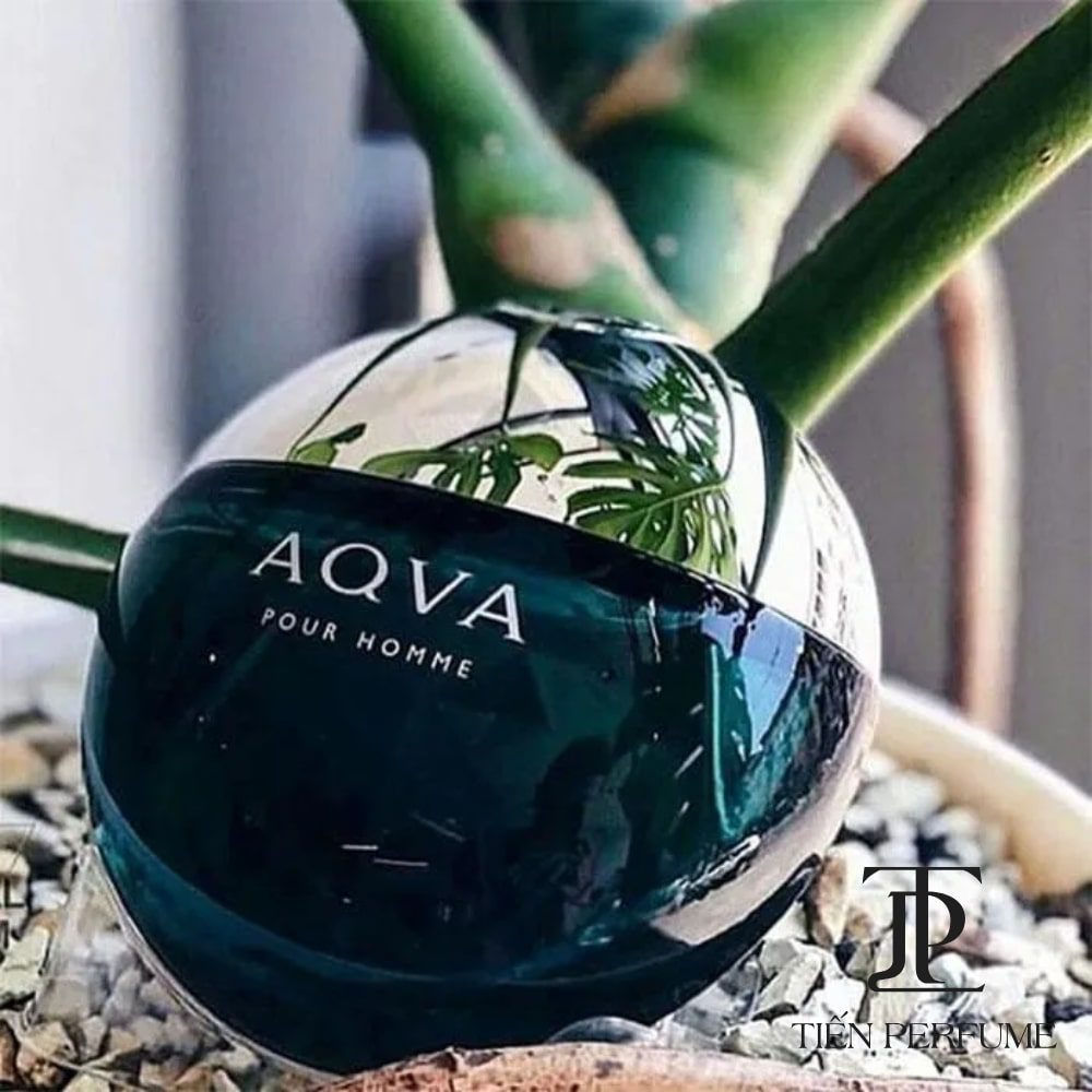Bvlgari Aqua Pour Homme EDT 22 Nước hoa Bvlgari Aqua Pour Homme EDT auth _ Tiến Perfume