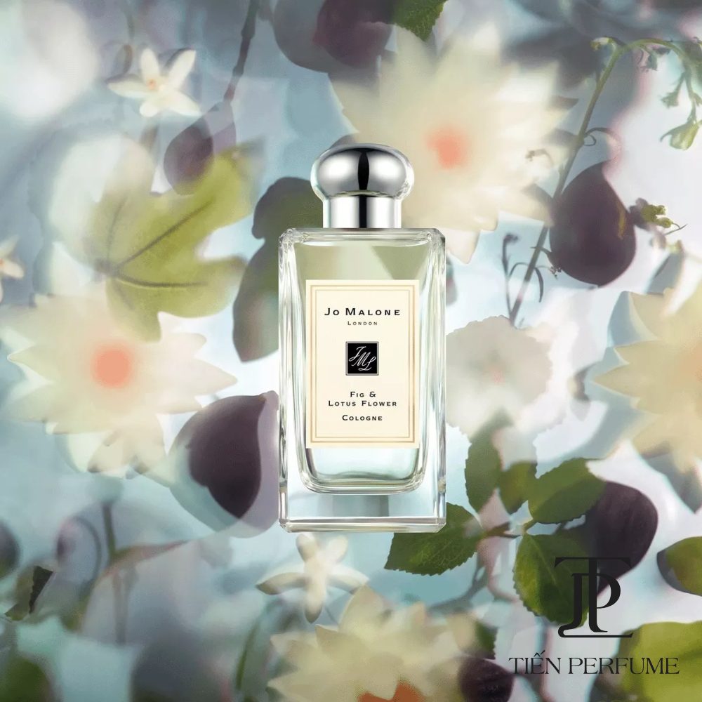 Jo Malone Fig & Lotus Flower Cologne 25 Nước hoa chính hãng Jo Malone Fig & Lotus Flower _ Tiến Perfume