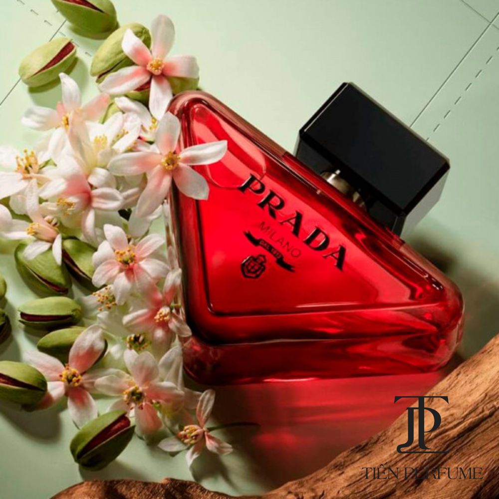 Prada Paradoxe Radical Essence Parfum 20 Nước hoa chính hãng Prada Paradoxe Radical Essence Parfum _ Tiến Perfume